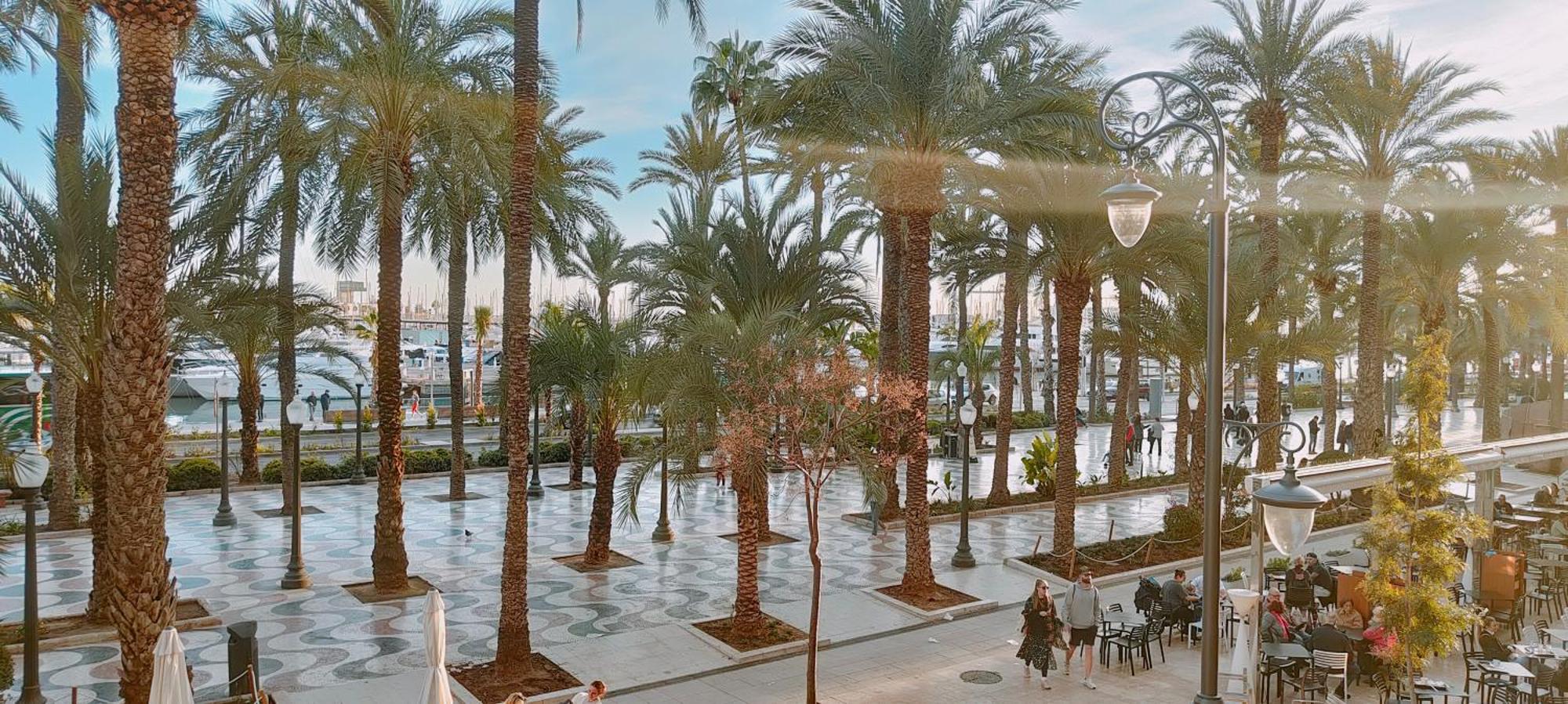 Alicantissima Marina & Beach Alicante Exteriör bild