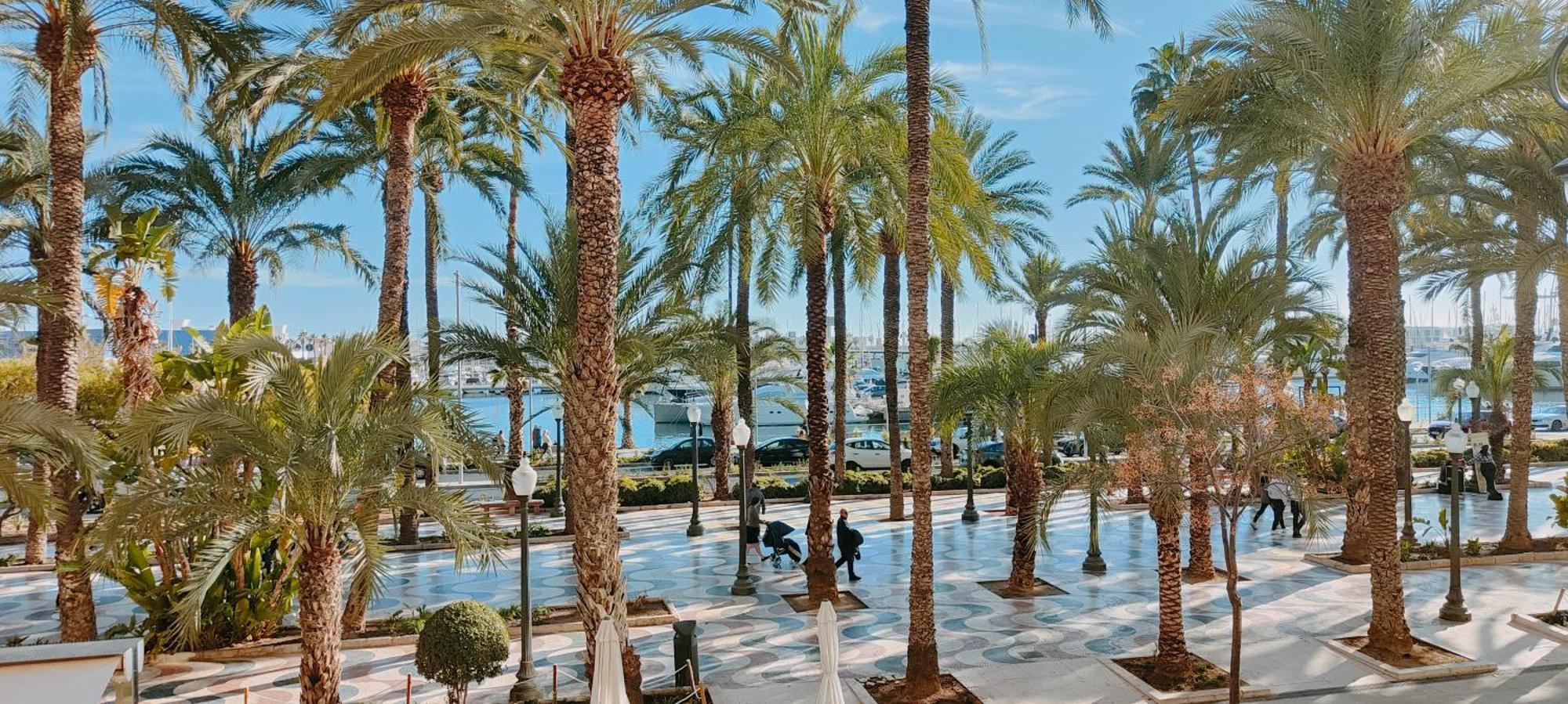 Alicantissima Marina & Beach Alicante Exteriör bild